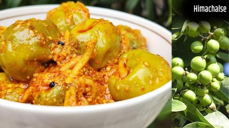 एक बार बनाएं सालभर चलाएं ये राजस्थानी लसूड़े या गूंदे का चटपटा अचार, नोट कर लें रेसिपी​