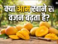क्या आम खाने से वजन बढ़ता है, जानिए 1 आम में कितनी कैलोरी होती है?​