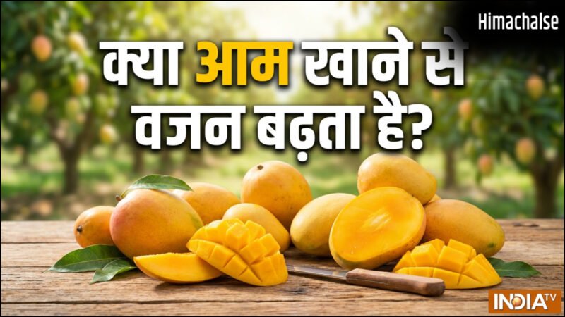 क्या आम खाने से वजन बढ़ता है, जानिए 1 आम में कितनी कैलोरी होती है?​