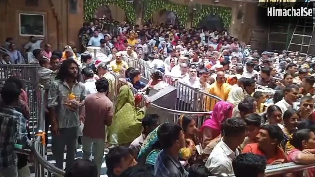 Ganga Dussehra 2026: गंगा दशहरा पर वृंदावन में उमड़ा आस्था का सैलाब, यमुना घाटों पर श्रद्धालुओं की भारी भीड़​