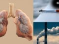 वायु प्रदूषण या स्मोकिंग? एक्सपर्ट से जानें फेफड़ों को किससे पहुंचता है ज्यादा नुकसान?​
