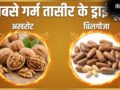 सबसे ज्यादा गर्म तासीर का कौन सा ड्राई फ्रूट होता है, क्या गर्मी में इससे करना चाहिए परहेज​
