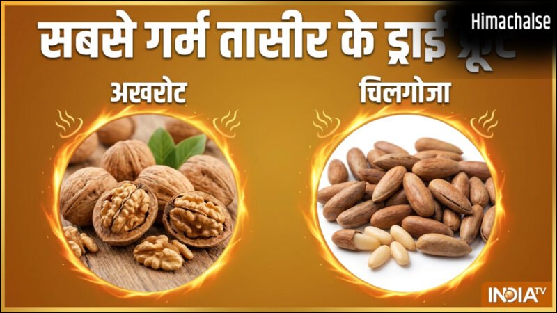 सबसे ज्यादा गर्म तासीर का कौन सा ड्राई फ्रूट होता है, क्या गर्मी में इससे करना चाहिए परहेज​