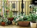 Old Tyre Reuse: Old Tyre Reuse का ये तरीका हो रहा Viral, अब आपका Garden भी पाएगा एक Designer Look​