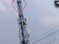 नाबालिग प्रेमिका से शादी की जिद में मोबाइल टावर पर चढ़ा युवक, पूरामुफ्ती में घंटों चला हाईवोल्टेज ड्रामा​