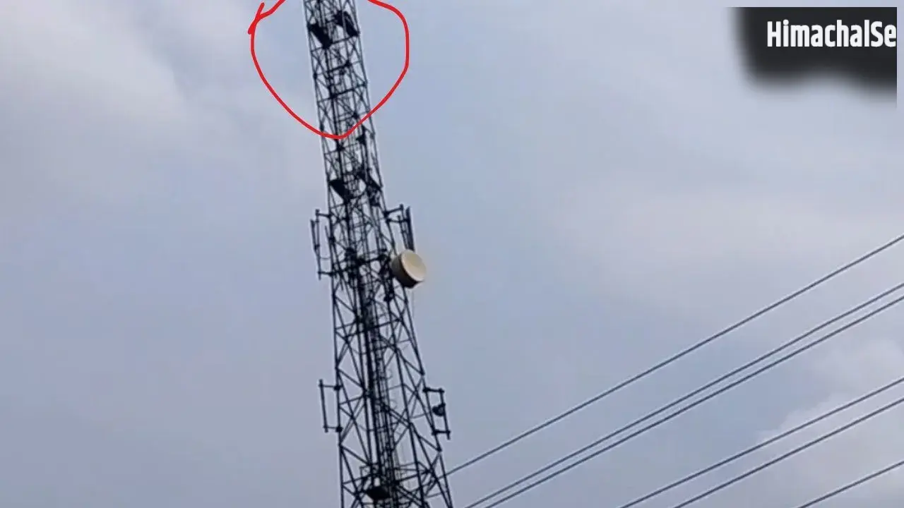 नाबालिग प्रेमिका से शादी की जिद में मोबाइल टावर पर चढ़ा युवक, पूरामुफ्ती में घंटों चला हाईवोल्टेज ड्रामा​