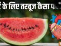 हार्ट के लिए फायदेमंद है तरबूज, ब्लड प्रेशर को भी रखता है कंट्रोल, इन खास गुणों से है भरपूर​