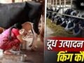 एमपी-बिहार नहीं… भारत का ये राज्य अकेले करता है दुनिया के कई देशों से ज्यादा दूध का उत्पादन; ये हैं टॉप 10 नाम​