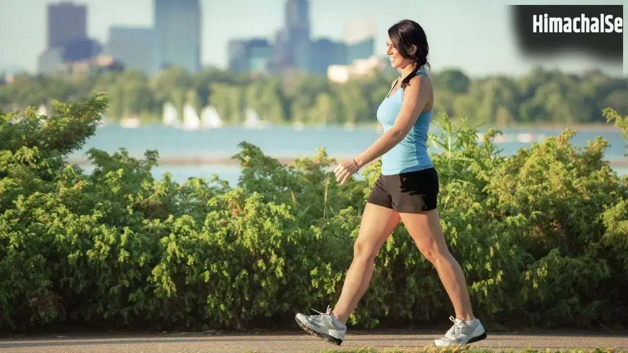 Fitness Tips : क्या 10,000 कदम रोज चलना सच में है जरूरी? जानिए एक्सपर्ट्स की राय