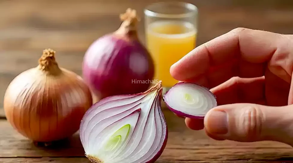 ये मेरा दावा है की आप हैरान रह जायेंगे जब प्याज को हाथो पर रगड़ने, रस पीने और मोज़े में रखने के फायदे जान जाओगे तो, जरूर पढ़े