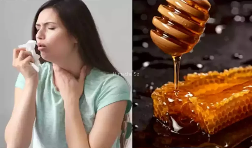 खांस-खांसकर बुरी तरह छिल गया है आपका गला? शहद के साथ इन 3 चीजों को मिलाकर पीने से मिल सकती है चैन की सांस