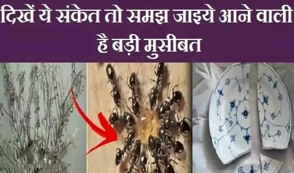 अगर आपको भी दिखें ये संकेत तो समझ जाइये आने वाली है बड़ी मुसीबत, इग्नोर करने की गलती न करें