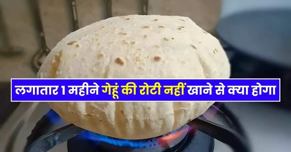 लगातार 1 महीने गेहूं की रोटी नहीं खाने से क्या होगा एक्सपर्ट ने बताई जरूरी बात