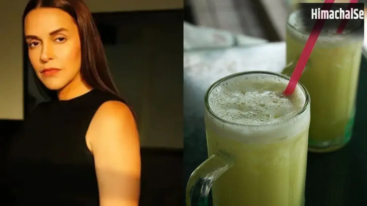 Neha Dhupia Health Tips: लो ब्लड प्रेशर में नेहा धूपिया का पसंदीदा ड्रिंक कितना फायदेमंद? एक्सपर्ट से जानें​