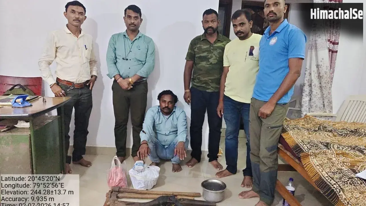 Bhandara News: लाखांदुर में वन्यजीव तस्करी पर कार्रवाई, पैंगोलिन के शल्क और चीतल का मांस जब्त​