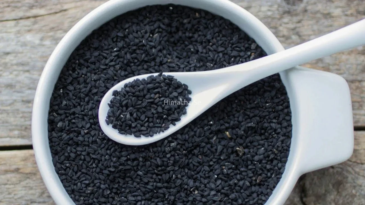 Kalonji Seeds : जोड़ों के दर्द से लेकर शुगर कंट्रोल तक, कलौंजी के ये 5 फायदे जानकर रह जाएंगे हैरान​