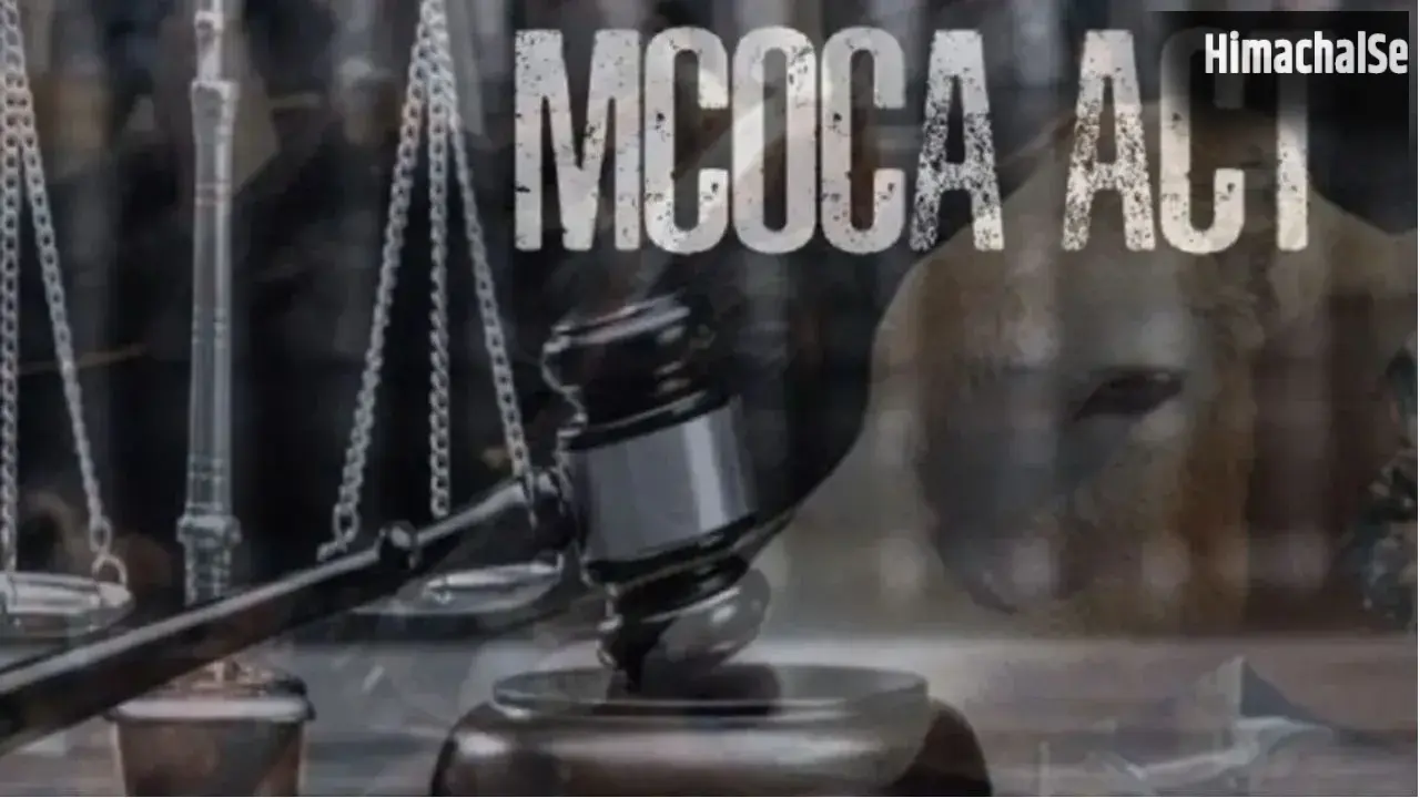 Bhandara Crime: भंडारा में सम्राट गैंग पर MCOCA, गोवंश तस्करी के खिलाफ बड़ी कार्रवाई