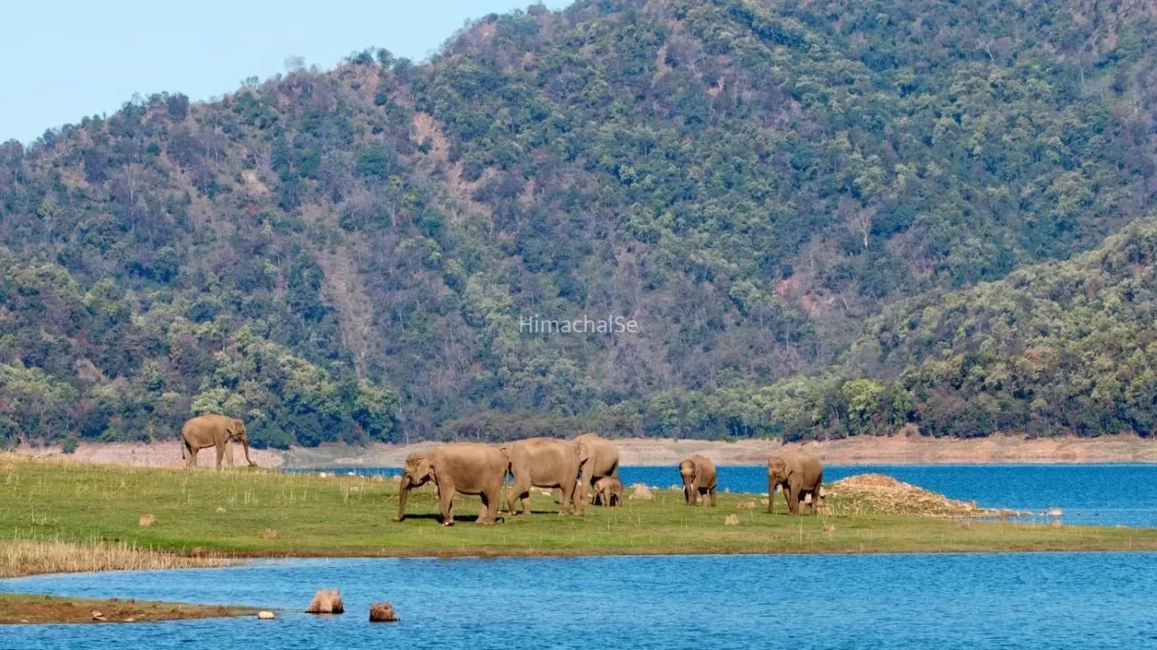 World Ranger Day 2026: भारत के 10 सबसे खूबसूरत नेशनल पार्क, जहां हर कदम पर दिखेगा प्रकृति का अद्भुत नजारा​