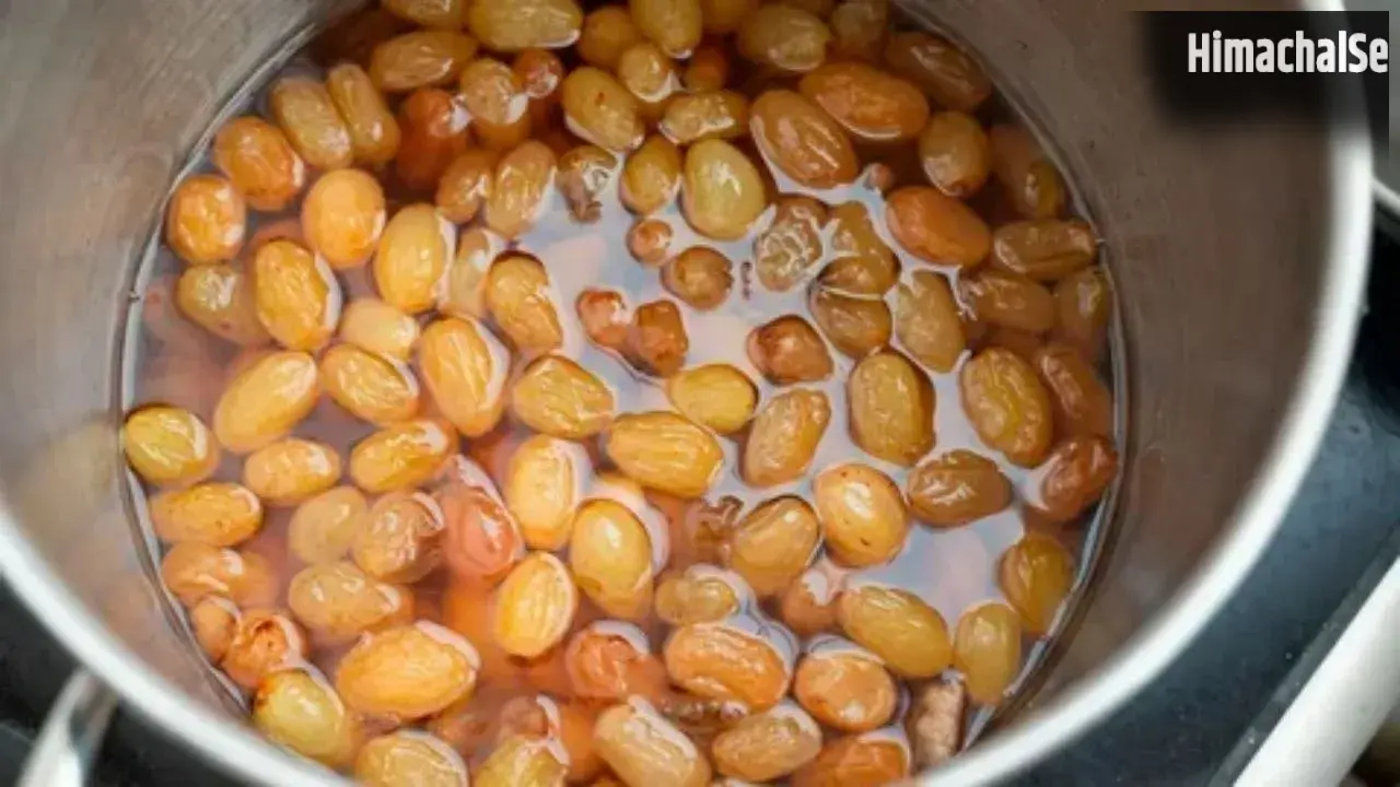 Eating Raisins: रोजाना किशमिश खाने से त्वचा पर आएगा नेचुरल ग्लो, बाल होंगे लंबे-घने; जानें 10 जबरदस्त फायदे