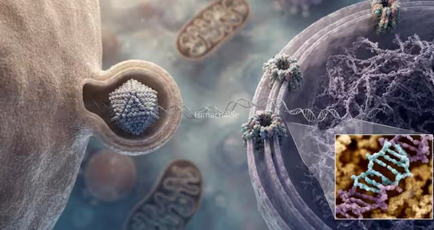 क्या है Gene Therapy? जिसके ट्रायल के बाद हुई 6 साल की बच्ची की मौत​