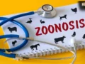 World Zoonoses Day: जानवरों से प्यार करें, लेकिन इन बीमारियों से रहें सावधान! जानें जूनोटिक रोगों के बारे में​