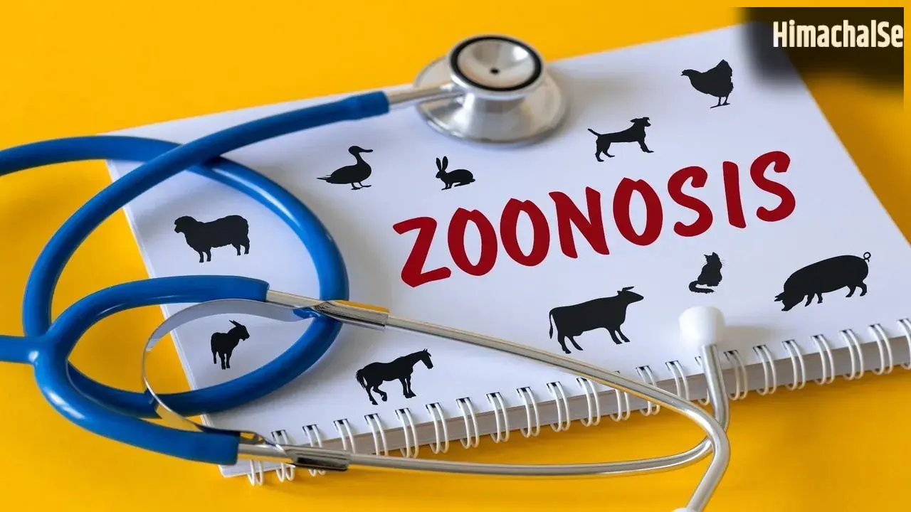 World Zoonoses Day: जानवरों से प्यार करें, लेकिन इन बीमारियों से रहें सावधान! जानें जूनोटिक रोगों के बारे में