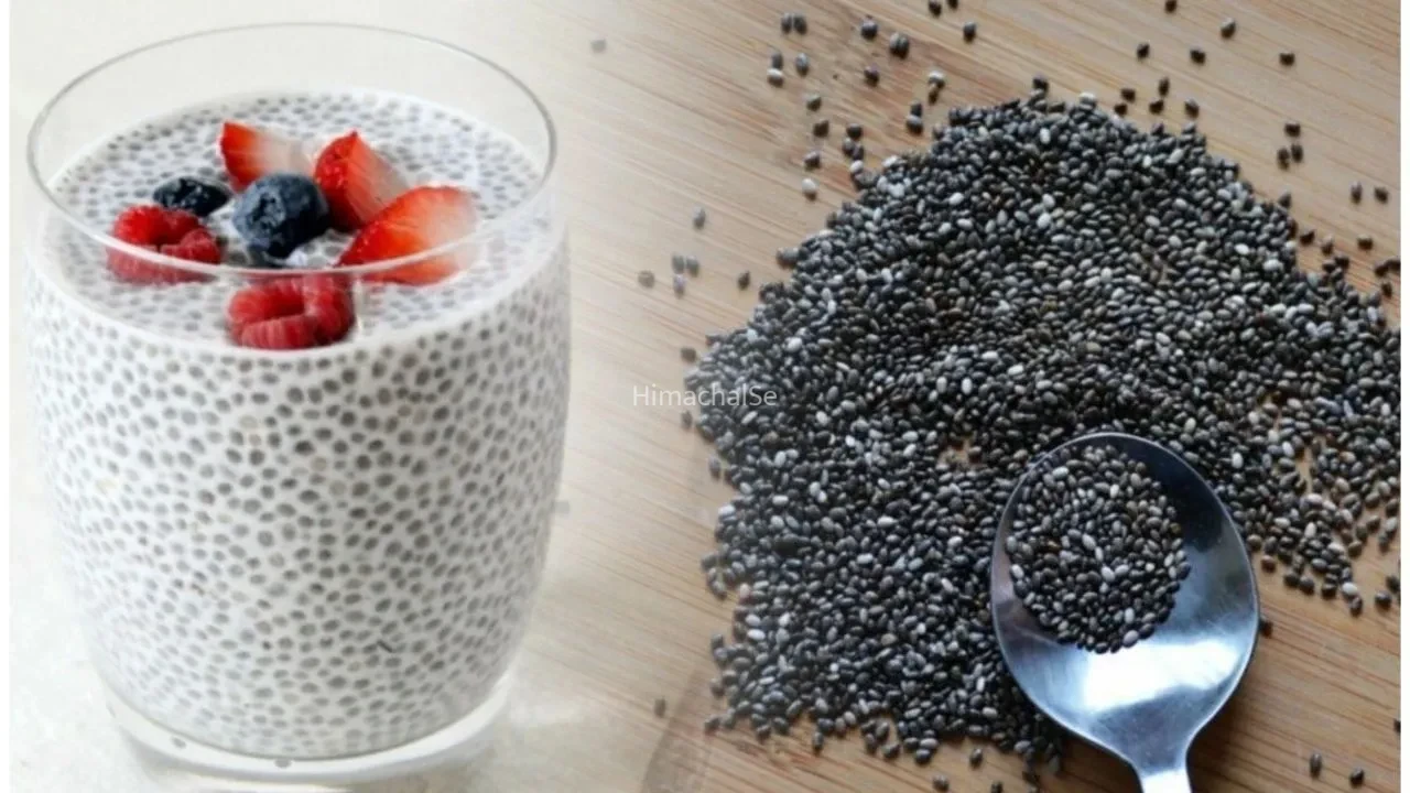 Chia Seeds Benefits: चिया वॉटर या चिया योगर्ट? जानिए चिया सीड्स खाने का सबसे असरदार तरीका​