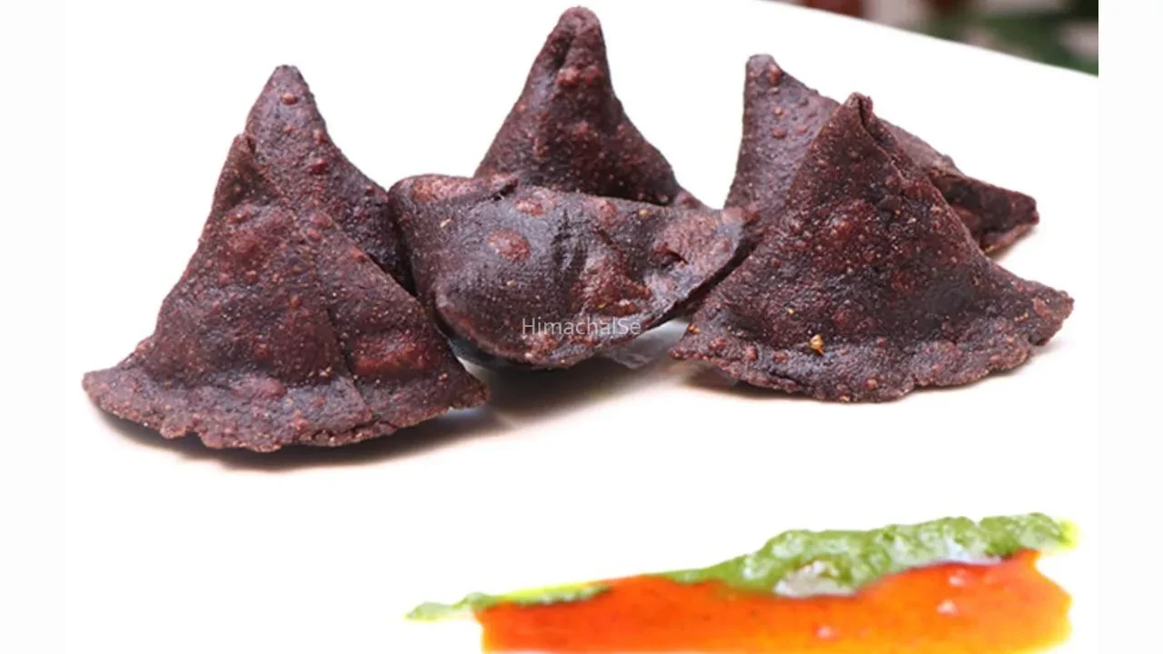 No Maida Samosa Recipe:  समोसा खाना नहीं छोड़ सकते, तो घर पर बनाएं बिना मैदे का हेल्दी समोसा, नोट करें रेसिपी​
