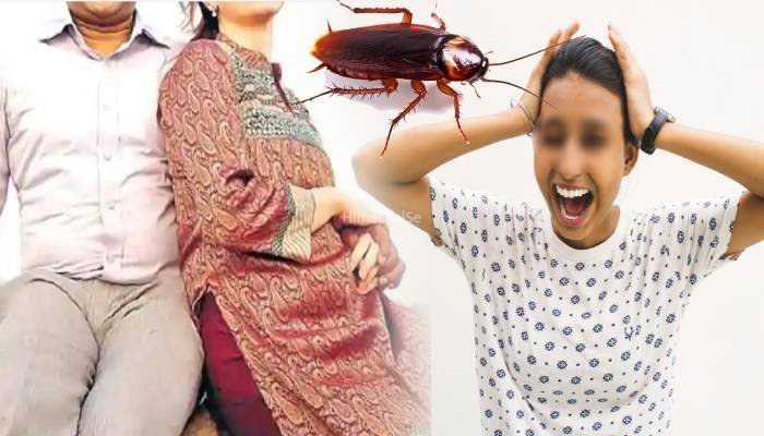 1 कॉकरोच ने करा दिया पति-पत्नी के बीच तलाक, 18 बार बदले घर फिर भी बीवी अपनी हरकत से बाज नहीं आई