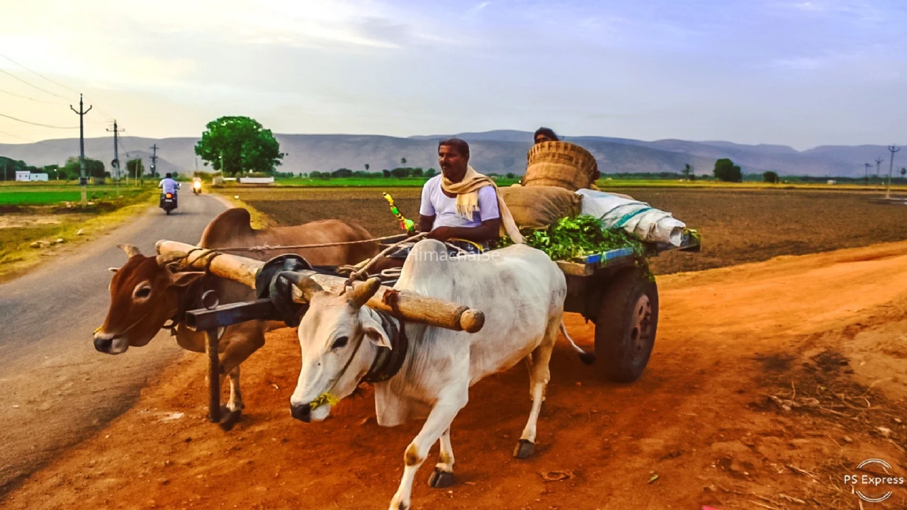 बैलगाड़ी चल रही थी और गाड़ीवान आराम से सो रहा था। एक सॉफ्टवेयर इंजीनियर ने यह देखा और