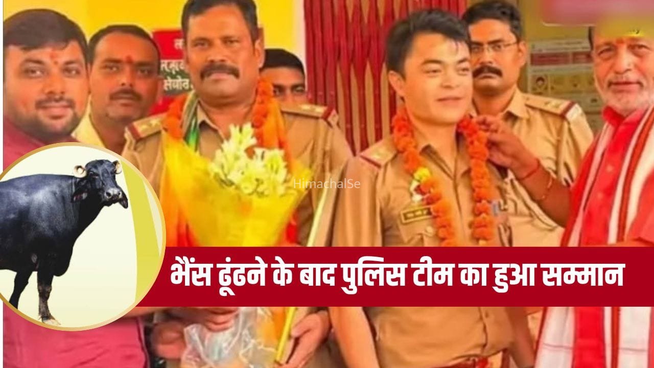 लखनऊ में ‘नेताजी’ के भतीजे की भैंस हुई चोरी, 48 घंटे में पुलिस ने ढूंढ निकाली… याद आई 12 साल पुरानी आजम खान वाली कहानी​