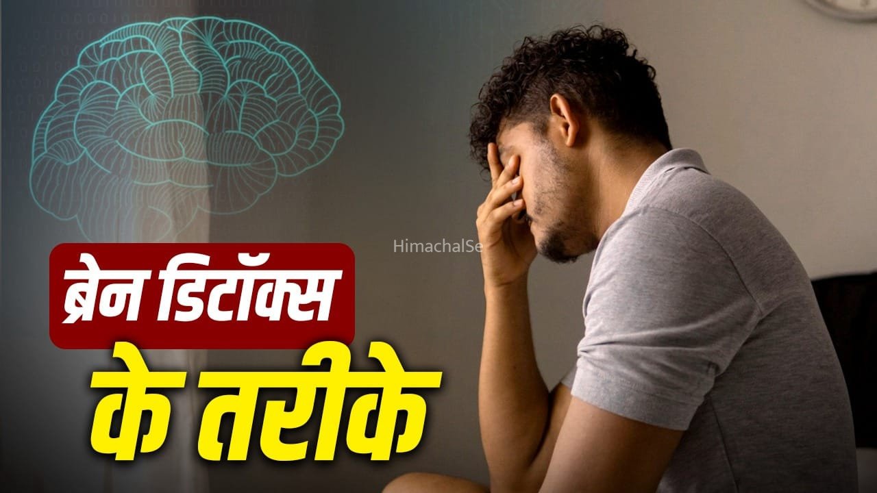 World Brain Day 2026: क्या ब्रेन को भी किया जा सकता है डिटॉक्स? जानिए एक्सपर्ट की राय​