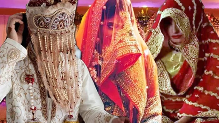 दो बीवियों ने अपनी मर्जी से कर लिया पति का बंटवारा जानें किस पत्नी के हिस्से में क्या आया
