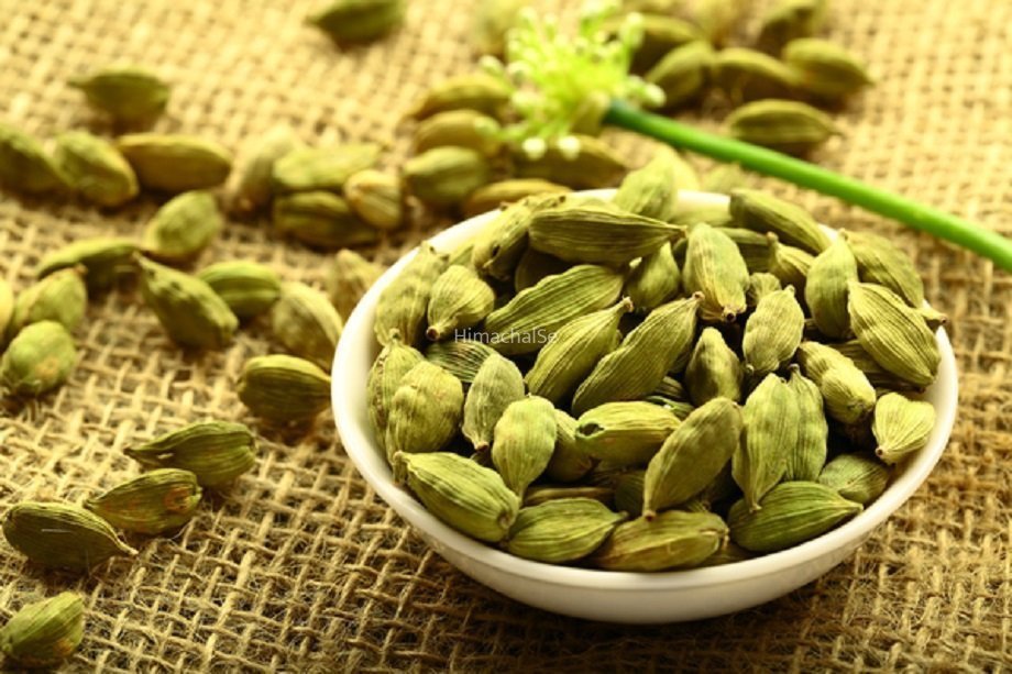 सुबह उठते ही खाली पेट चबाले आप भी दो इलायची, मिलेंगे ऐसे फायदे की दूसरों को भी बताएंगे आप​​​