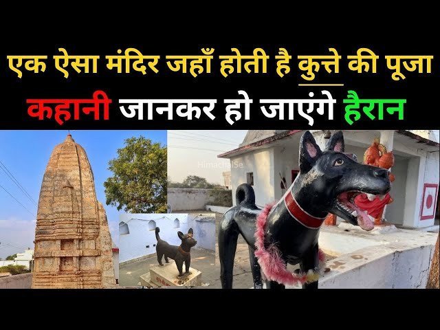 कुकुर देव मंदिर जहां कुत्ते की पूजा की जाती है, जानिए क्या है, इस प्राचीन मंदिर का इतिहास और महत्व