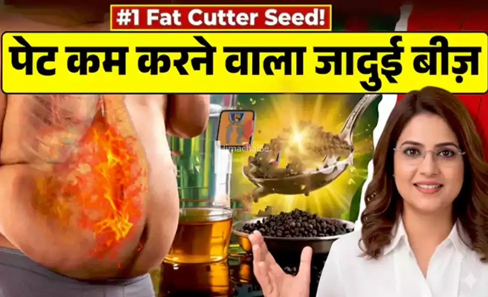 क्या आप मोटापे से परेशान हैं? तो ये है मोटापा कम करने का जादुई बीज… जो आपके पेट की चर्बी पिघला कर कर देगा आपको पतला