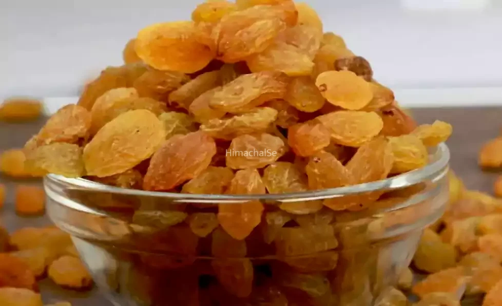 ​​मर्दाना कमजोरी और कम सेक्स ड्राइव से हैं परेशान? खाली पेट खाएं ये चीज और 5 फायदे पाएं