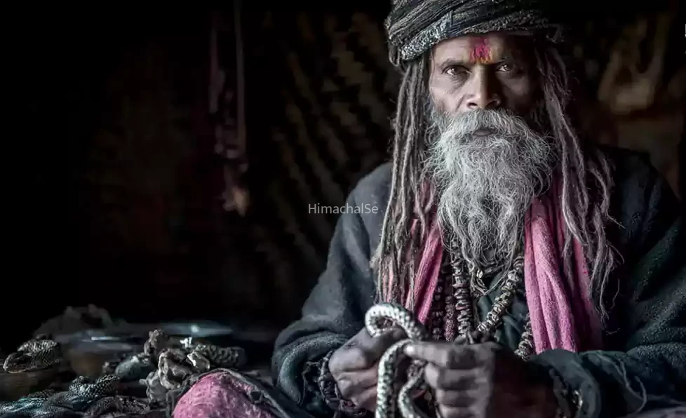 सांप की हड्डीयों से बनी माला से जप करने पर मिलता है ये खास लाभ, अघोरी और साधू करते हैं इस्तेमाल