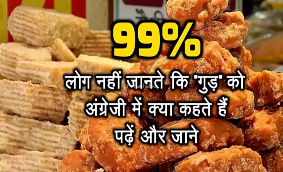 ​​99% लोग नहीं जानते कि गुड़ को अंग्रेजी में क्या कहते हैं, क्या आपको है पता?