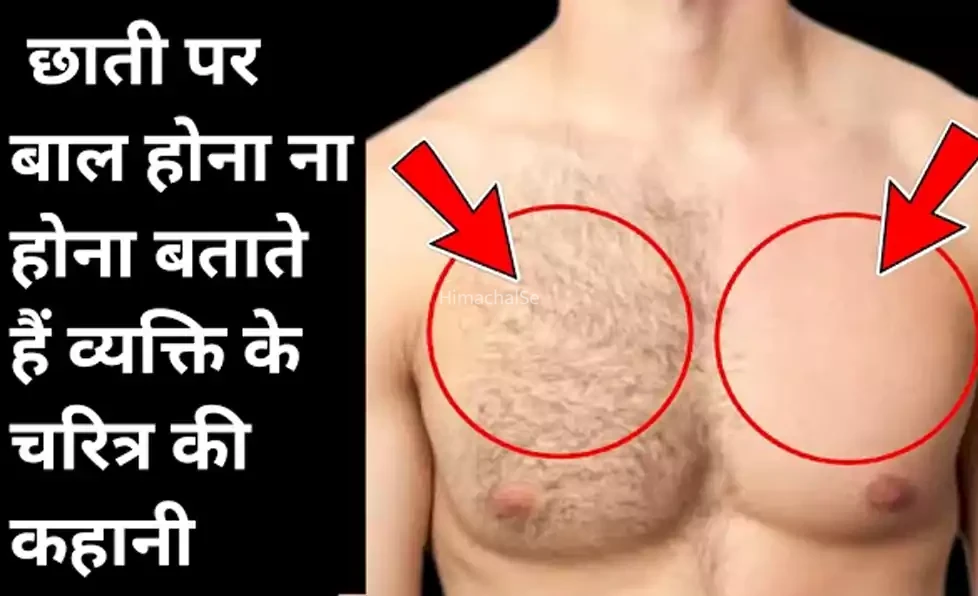 छाती पर बाल होना या न होना बताते है व्यक्ति के चरित्र की कहानी, जानें पुरुषों की छाती से जुड़े गुप्त संकेत
