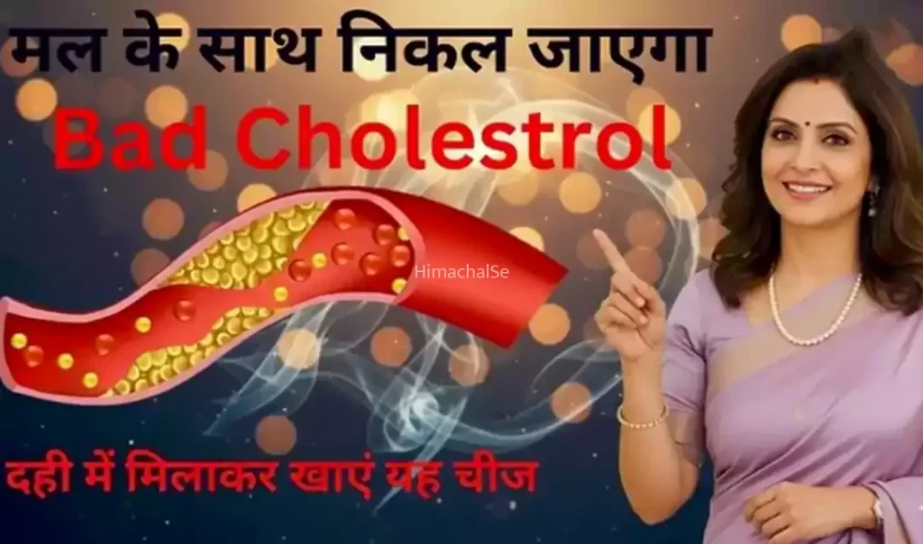मल के साथ निकल जायेगा सारा Bad Cholesterol, बस दही में मिलाकर खा लो ये चीज़, कोलेस्ट्रॉल को कंट्रोल करने का बेहतरीन तरीका