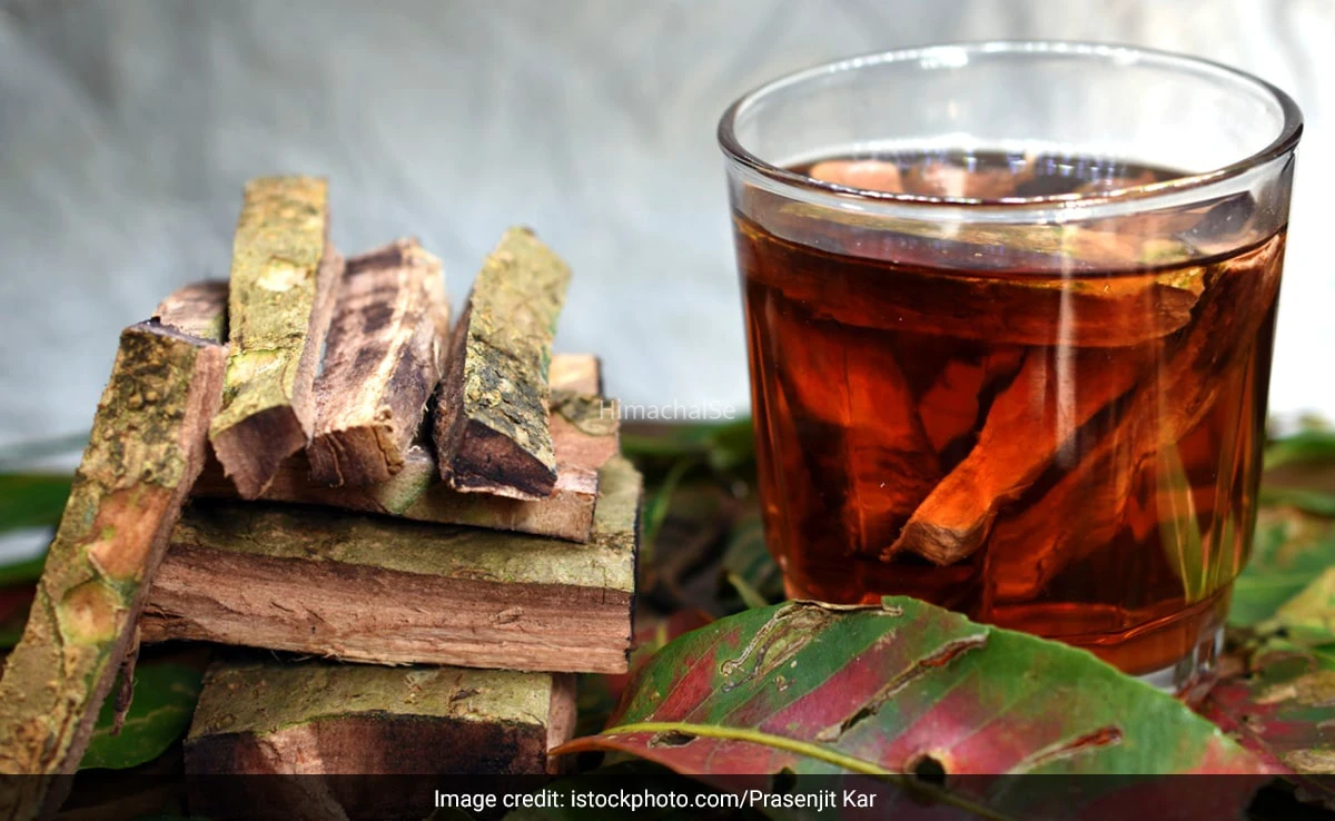 इस पेड़ की छाल करती है ब्लड शुगर कंट्रोल, बस दिन में एक बार कर लें इसका सेवन​​​