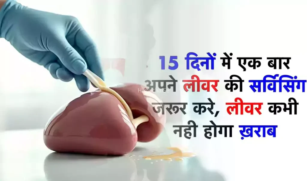 15 दिनों में अपने लीवर को एक बार जरूर साफ करना चाहिए लीवर में जमा ज़हर निकाले सिर्फ 15 दिन में डॉक्टर्स भी देते हैं सलाह
