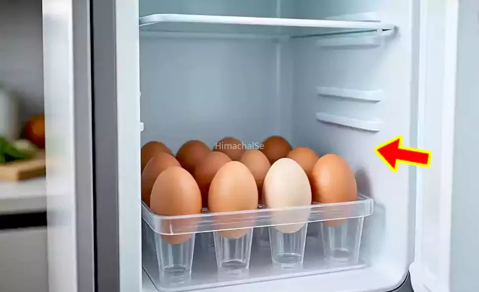 फ्रिज में कितने दिन तक स्टोर कर के रख सकते हैं अंडे, जानिए खरीदने के कितने दिन बाद तक है खाना