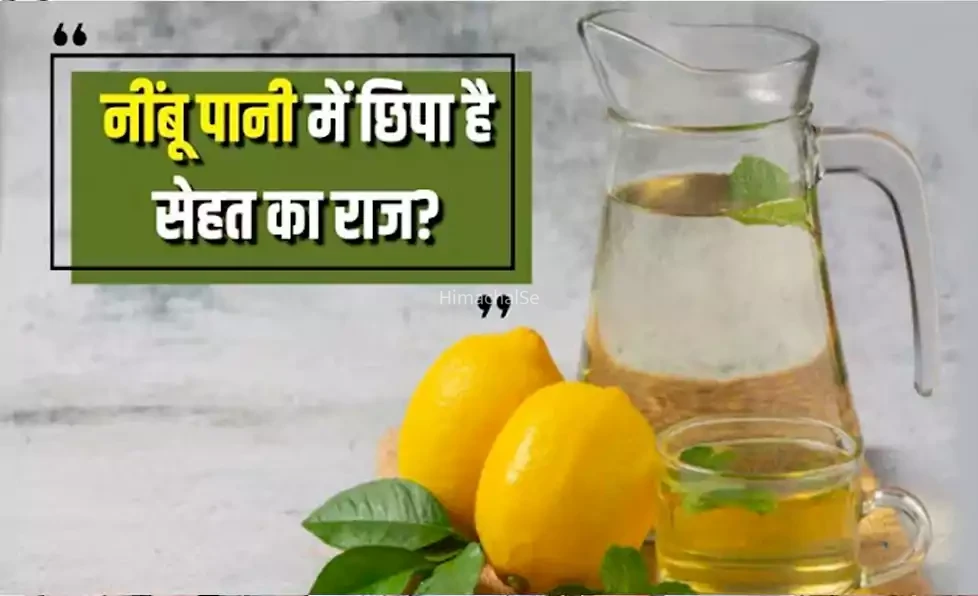 क्या होगा अगर रोजाना 14 दिनों तक पिएंगे नींबू पानी? हमसे नहीं डॉक्टर से सुन लीजिए सच