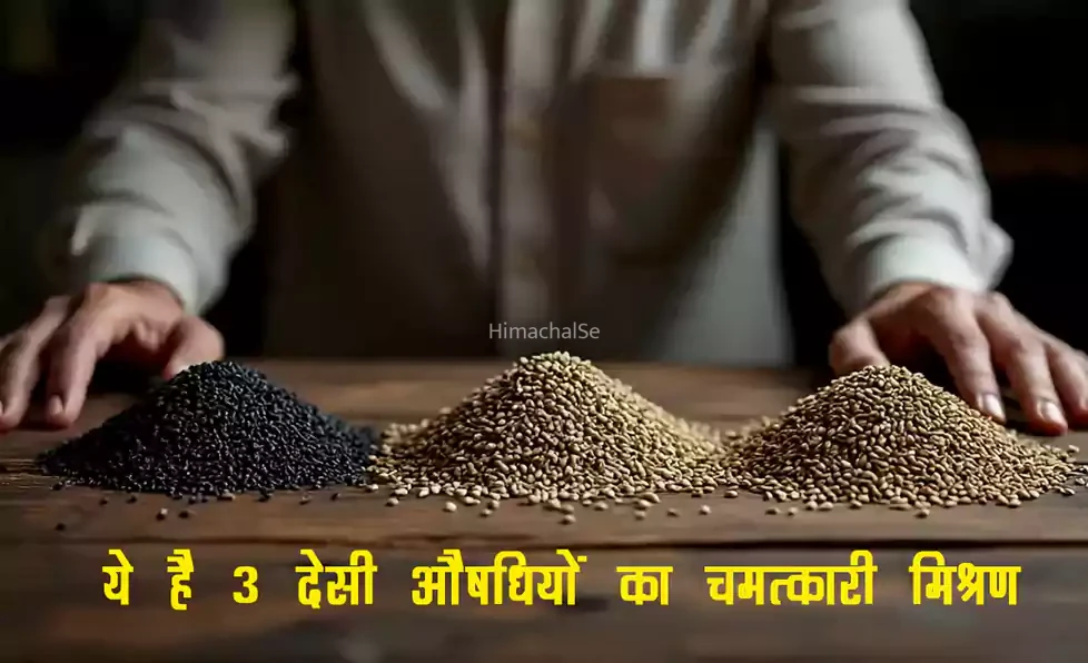 ​​ये है 3 देसी औषधियों का चमत्कारी मिश्रण. 18 गंभीर बीमारियों से मिलेगा छुटकारा बढ़ती उम्र में भी दिखेगा जवानी का जोश