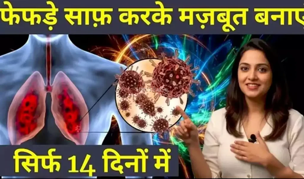 बार-बार कफ, बलगम और सांस लेने में परेशानी रहती है? फेफड़ों की देखभाल के लिए अपनाए जाने वाले इस घरेलू उपाय के बारे में जानकर रह जाएंगे हैरान