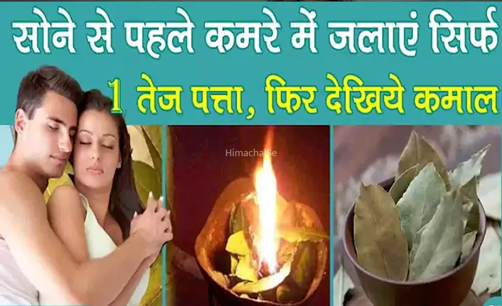 सोने से पहले कमरे में जलाएं सिर्फ 1 तेज पत्ता, फिर जो होगा कमाल उसे देख खुद को भी नहीं होगा यकीन
