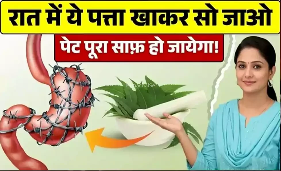 ये 4 पत्ते रात में खाइए, सुबह तक आपका पेट, लिवर और आंतें हो जाएंगी एकदम क्लीन