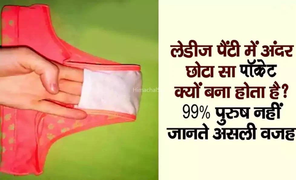 लेडीज पैंटी में अंदर छोटा सा जेब क्यों बना होता है? 99% पुरुष नहीं जानते असली वजह